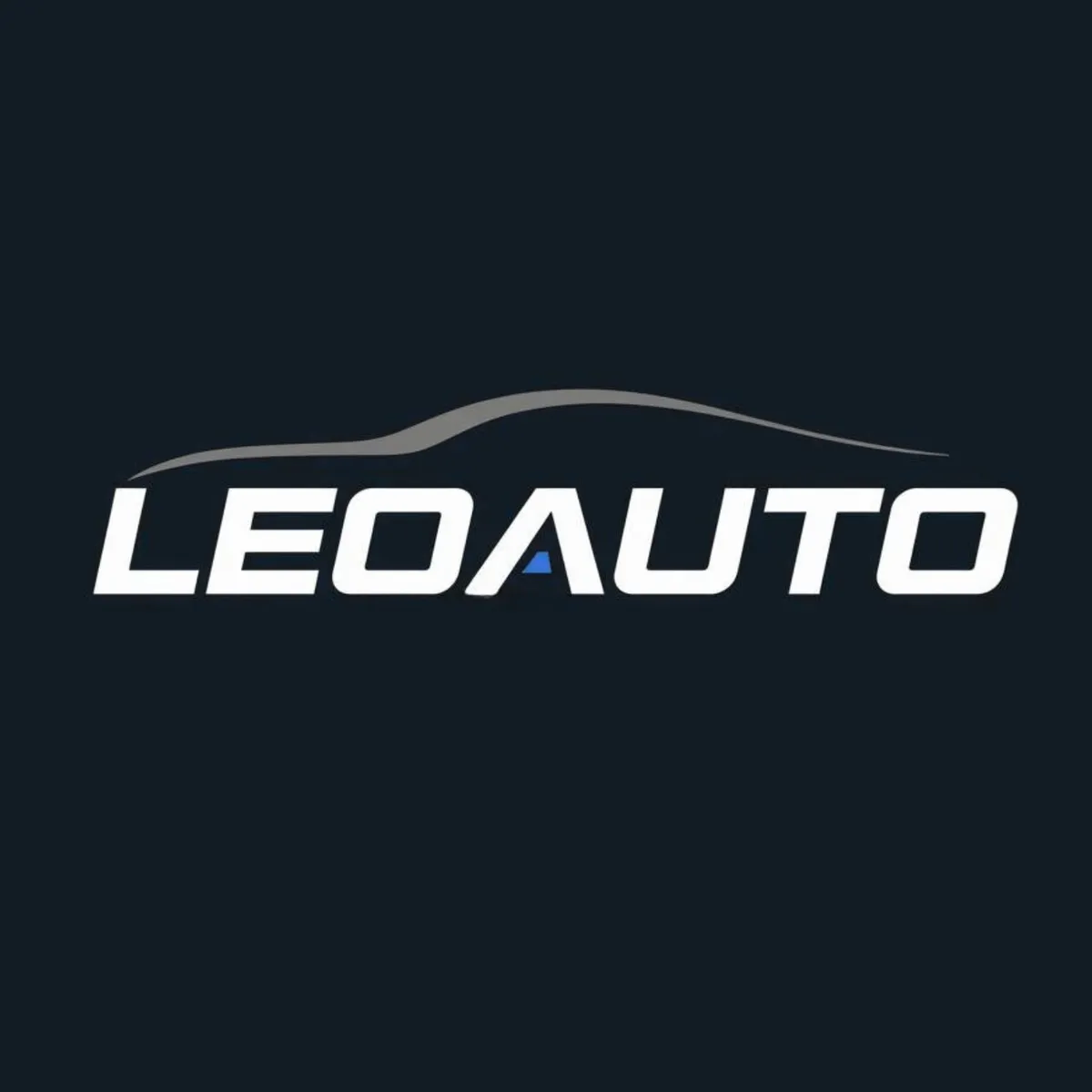 Leoauto